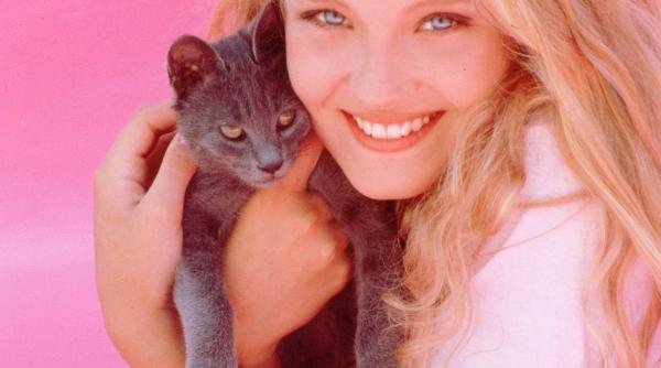 5 cele mai prietenoase rase pisici inteligente iubitoare blande jucause