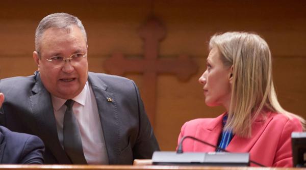 cadou alina gorghiu nicolae ciuca ecrane gigant sala plen senat