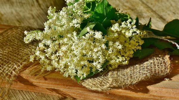 beneficii uimitoare sanatate soc reduce inflamatia intareste sistemul imunitar protejeaza inima