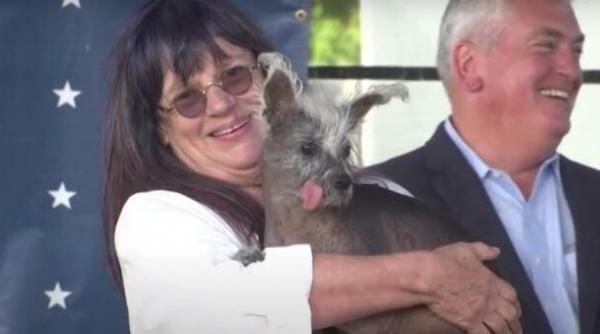 povestea incredibila cel mai urat caine lume cum arata scooter