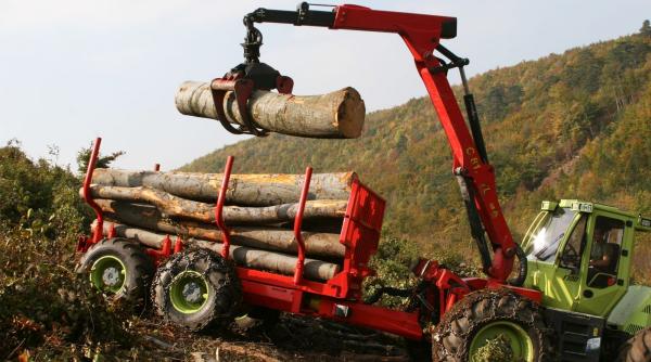 dna paduri usr proiect lege senatori dosare infractiuni silvice