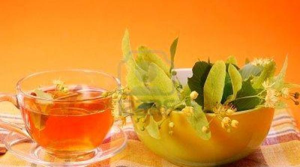 cules uscat flori tei beneficii sanatate