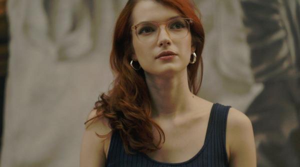 incep conferintele cercului literar de la sibiu