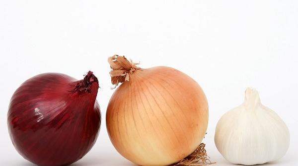 antibiotice naturale eficiente lupta infectii