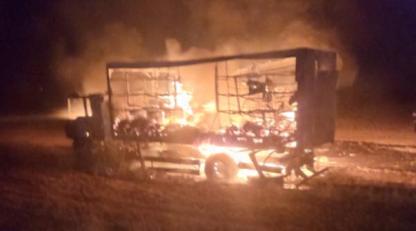 stupi albine ars incendiu violent