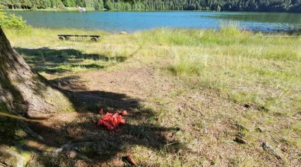 acces lacul sf ana interzis bagaje picnic padure