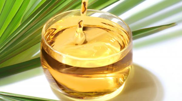 ulei palmier pericol sanatate avertisment mondial