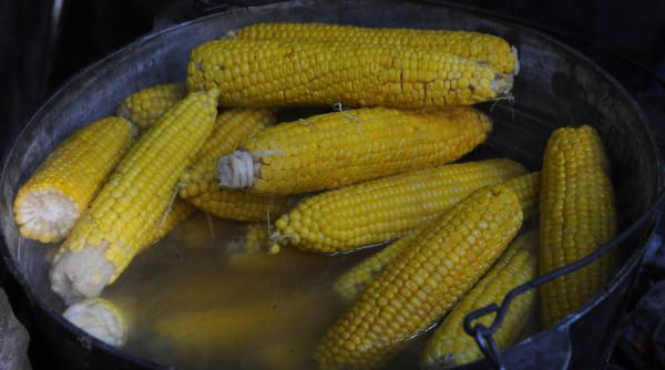 atentie porumb fiert avertisment carmen dorobat