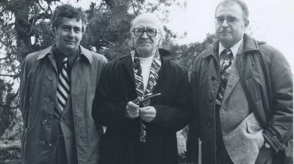 matei calinescu boem critic roman postbelic