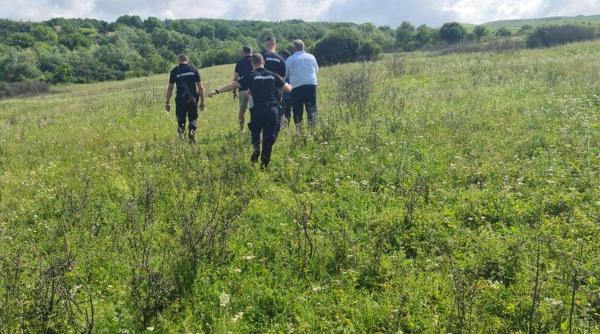 ursoaica pui oras teius