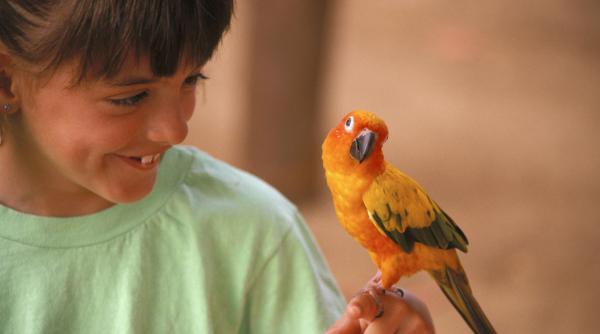 horoscop zilnic 17 iulie 2023