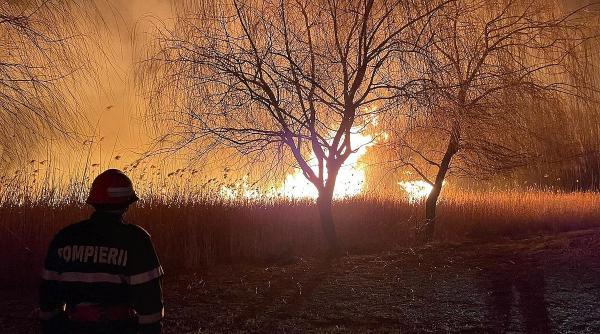 europa val caldura necrutator incendii vegetatie emisfera nordica
