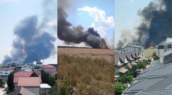 incendiu vegetatie bragadiru magurele mesaj ro alert