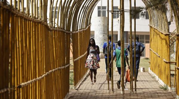 falsi angajati profesori guineea