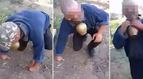 cioban vaslui batjocorit consilier local legat talanga gat genunchi