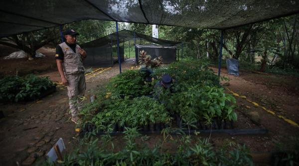 sat indonezian internet taiat protectie tanara generatie