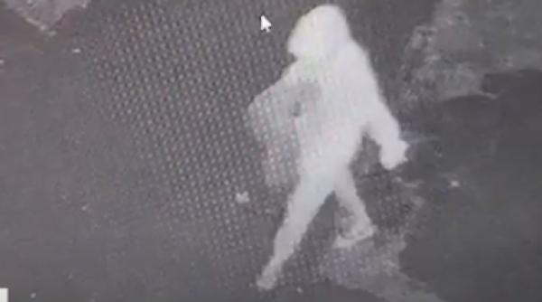 imagini criminala cara valiza victima parc crima mangalia