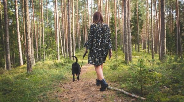 vreme capricioasa prognoza meteo 4 saptamani