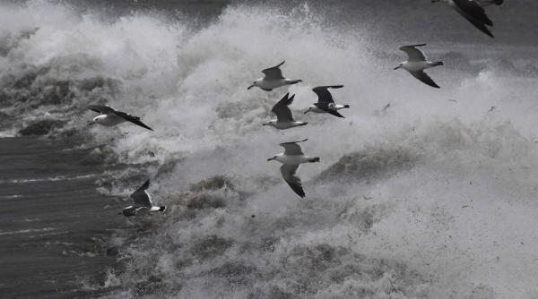 stare urgenta orientul indepartat rus taifun khanun