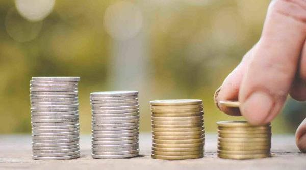 raport consiliul fiscal salariul mediu brut bugetar