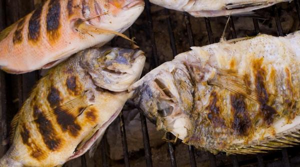 peste fructe mare sursa excelenta proteina retete