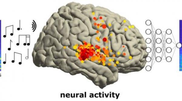 cantec pink floyd semnale cerebrale