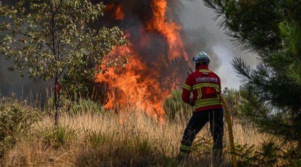 incendii vegetatie centura vest ploiesti animale stana relocate