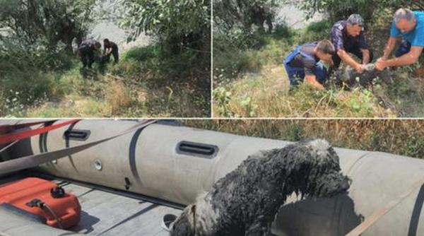 caine blocat namol pompieri