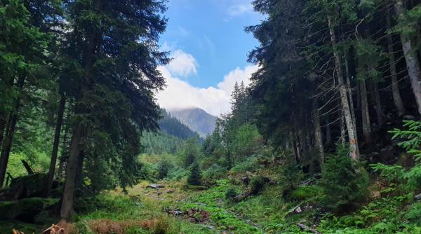 cna apel autoritati acces tuneluri muntii bucegi jurnalisti nasu tv