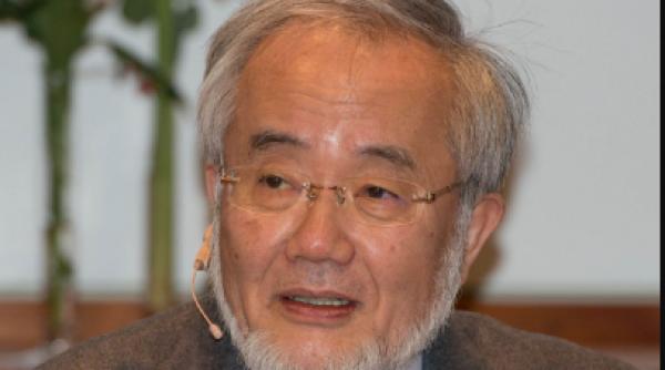 efecte post longevitate studiu nobel