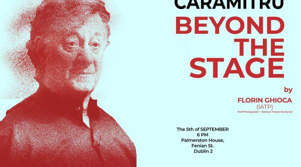 expozitie ion caramitru dublin irlanda
