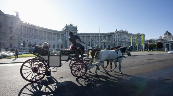 austria transport public gratuit un an tatuaj numele abonamentului