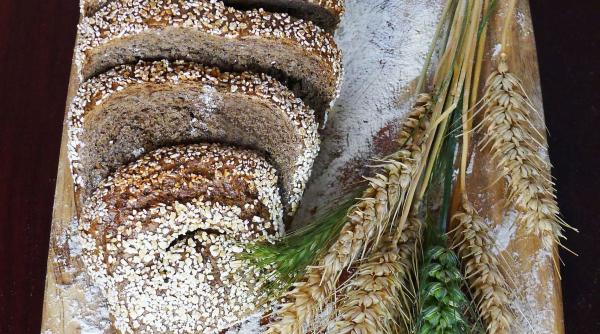 gramatica limba romana plural faina