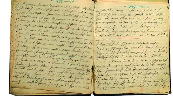 jurnalul viata moarte ciprian porumbescu