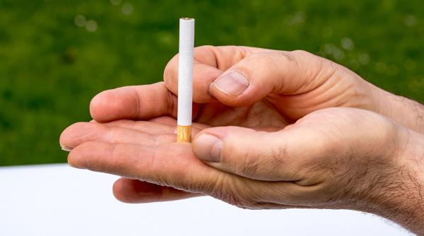 program stop fumat oprit