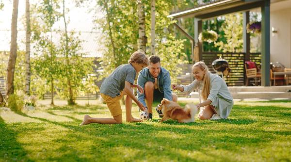 achizitii utile care iti imbunatatesc confortul cand stai la casa