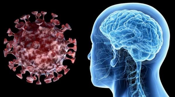 avertisment neurolog vlad ciurea distruge neuronii atrofie cerebrala