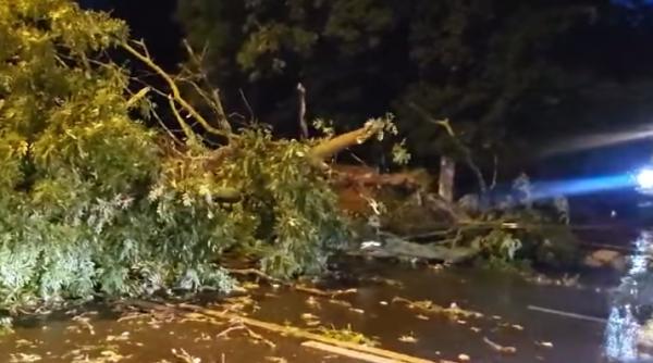 rupere nori galati furtuna doborat 40 copaci barca deriva