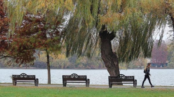 banci cosuri gunoi parcuri capitala