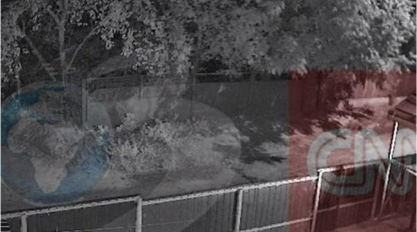 drone rusia nufaru tulcea mapn