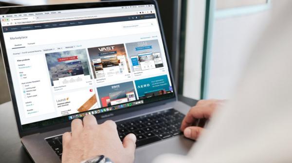 escrocherii online tentative santaj teorii conspiratie benzi desenate educative