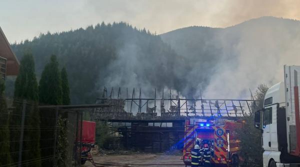 incendiu hala gater vama judetul suceava