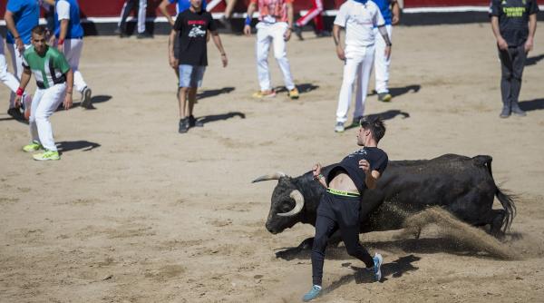 ucis taur festival spaniol