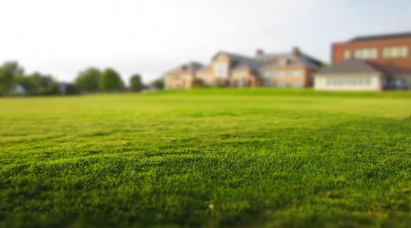 cum sa alegi cu cap un cap de motocoasa iata criteriile esentiale