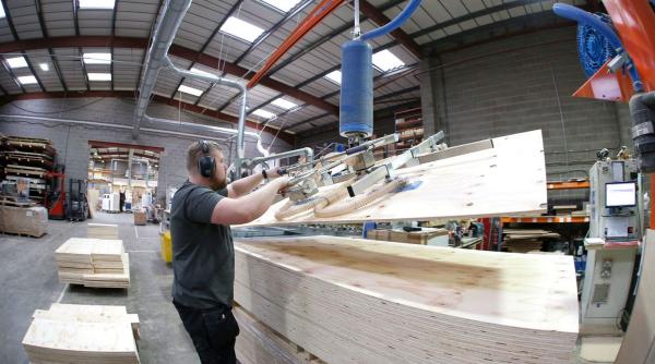 afaceri industrie lemn picaj