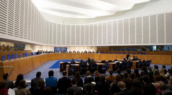 tari judecata tineri incalzire globala