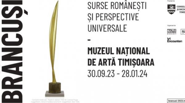 brancusi surse romanesti si perspective universale prima expozitie a artistului in tara sa natala dupa mai bine de 50 de ani se deschide publicului larg la timisoara pe 30 septembrie