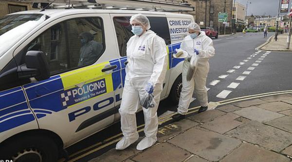 barbati injunghiati halifax