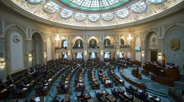 deputata psd lege anti zgonea