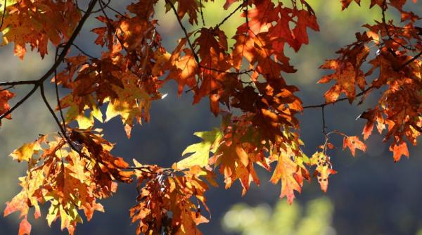 brumarel temperaturi ridicate seceta prognoza meteo octombrie